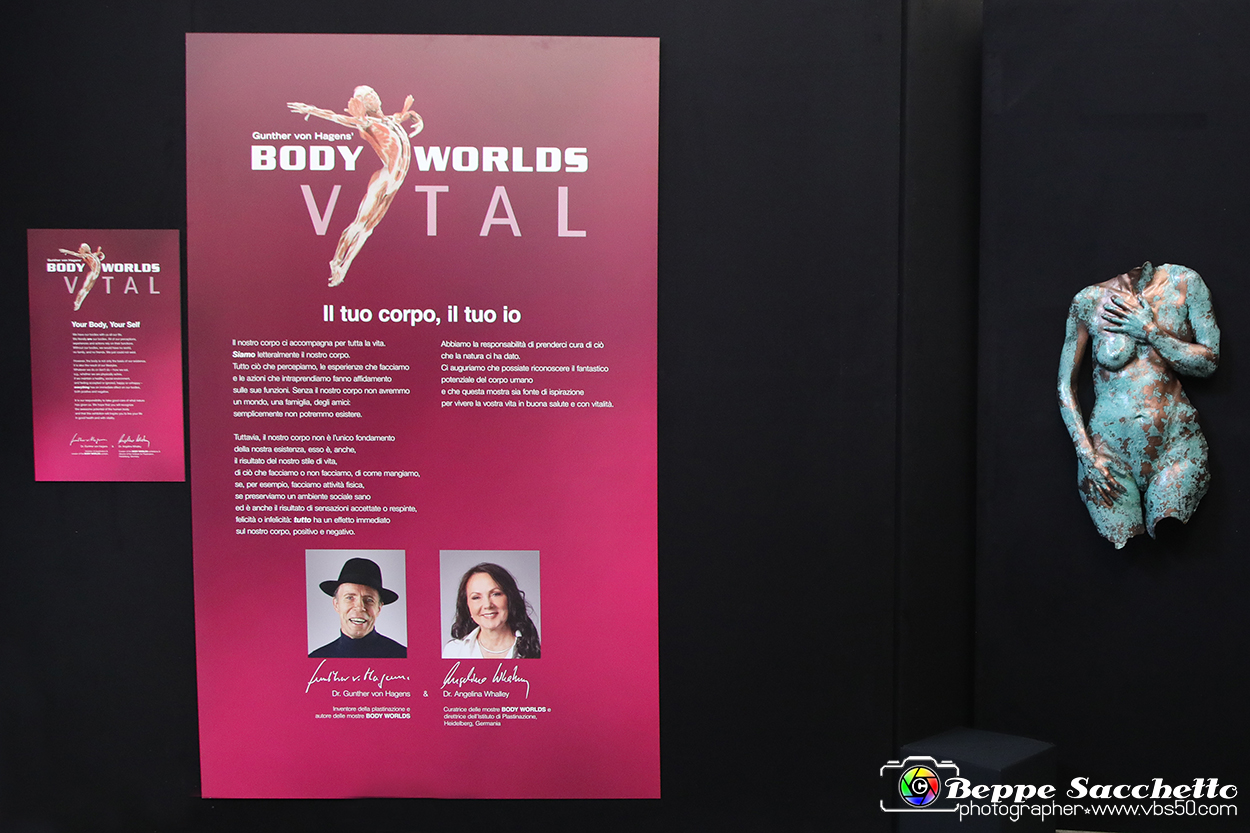 VBS_2530 - Mostra Body Worlds.jpg